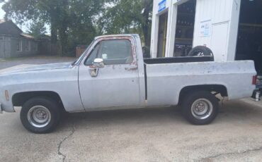 Chevrolet-c10-swb-1978-7