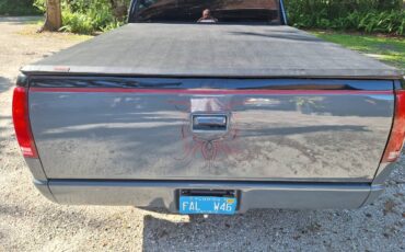 Chevrolet-c1500-1989-4