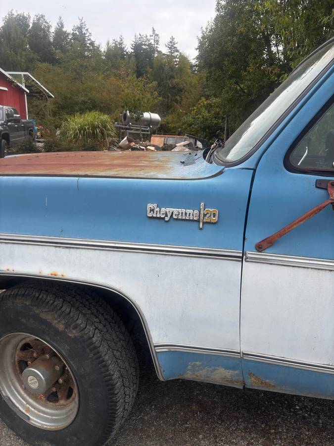 Chevrolet-c20-1973-blue-1