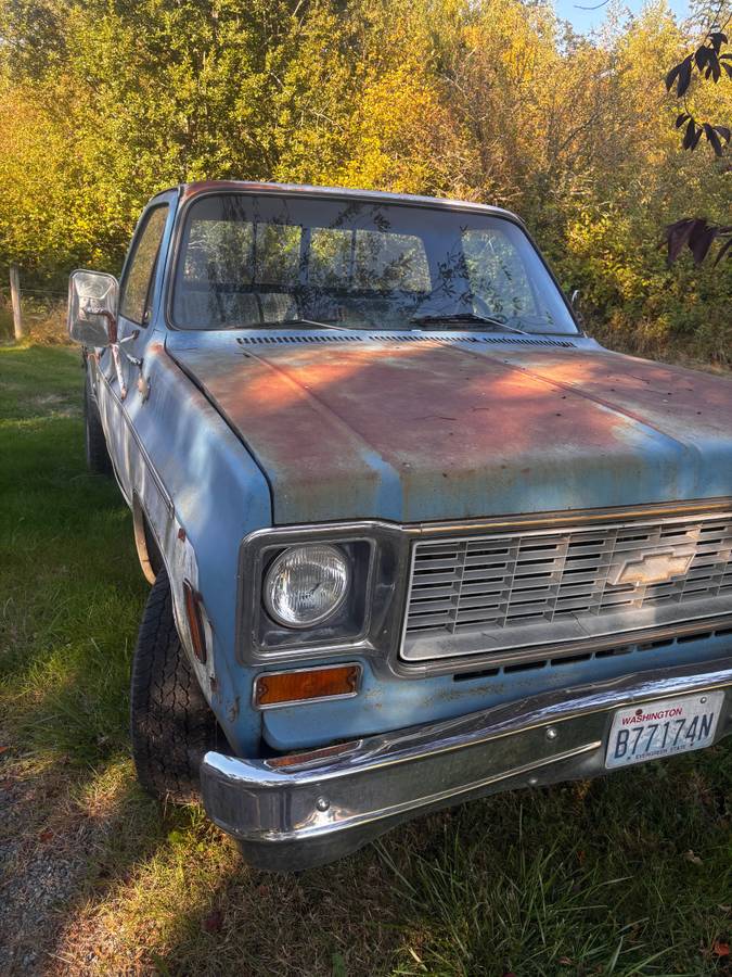 Chevrolet-c20-1973-blue-3