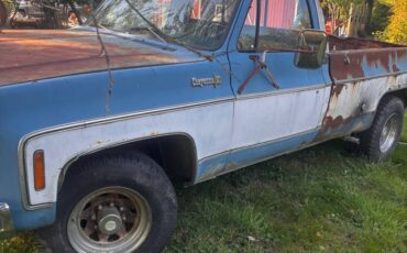 Chevrolet-c20-1973-blue
