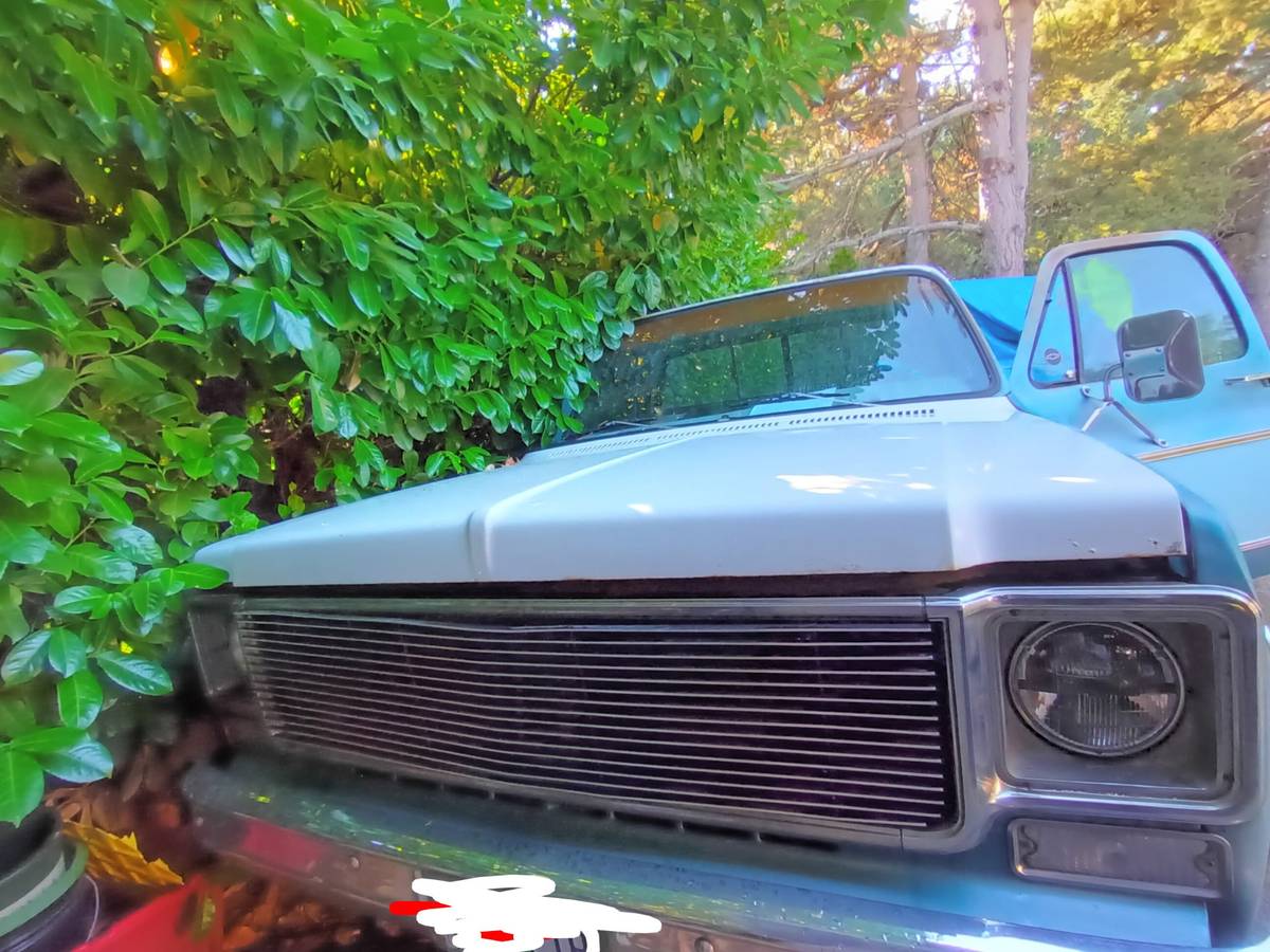 Chevrolet-c20-1977-blue-1