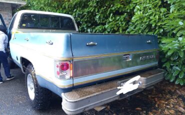 Chevrolet-c20-1977-blue-11
