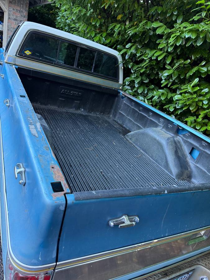 Chevrolet-c20-1977-blue-2