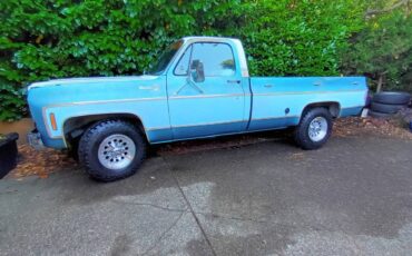 Chevrolet-c20-1977-blue