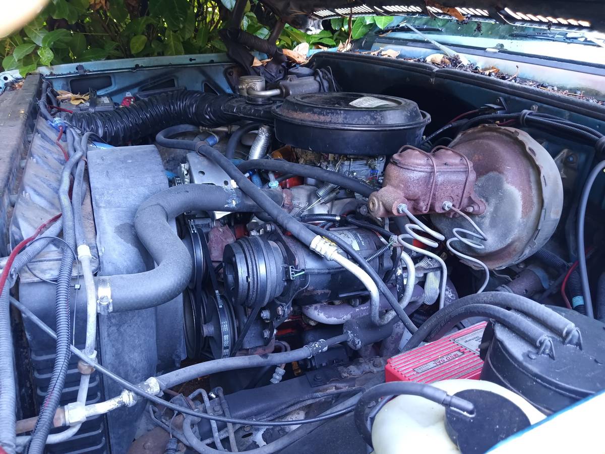 Chevrolet-c20-1977-blue-4