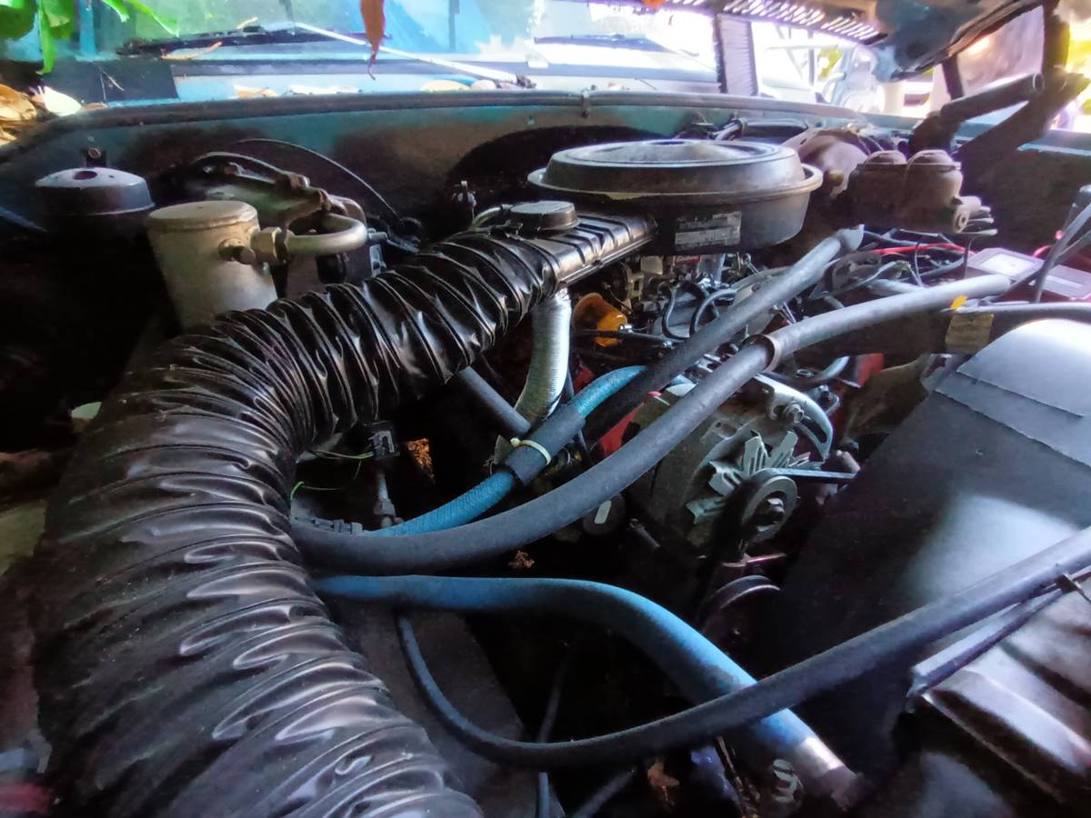 Chevrolet-c20-1977-blue-5