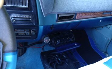 Chevrolet-c20-1977-blue-9
