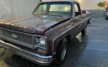 Chevrolet-c20-1977-brown-1