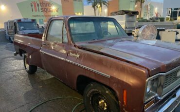 Chevrolet-c20-1977-brown-2