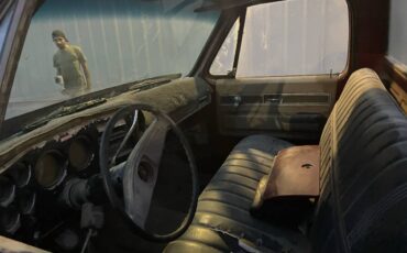 Chevrolet-c20-1977-brown-3