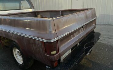Chevrolet-c20-1977-brown-4