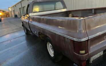 Chevrolet-c20-1977-brown-5