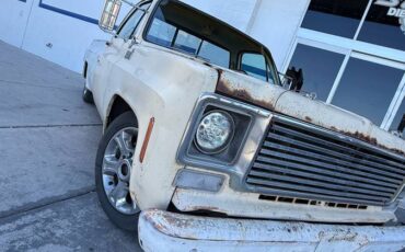 Chevrolet-c20-1977-white