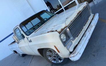 Chevrolet-c20-1977-white-4
