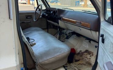 Chevrolet-c20-1977-white-5