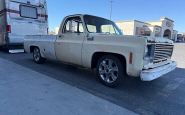 Chevrolet-c20-1977-white-6