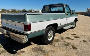 Chevrolet-c20-1978-4
