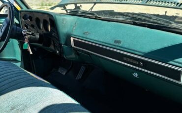 Chevrolet-c20-1978-6