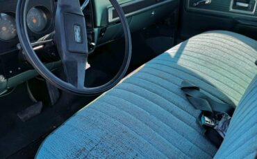 Chevrolet-c20-1978-7