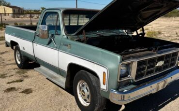Chevrolet-c20-1978-9
