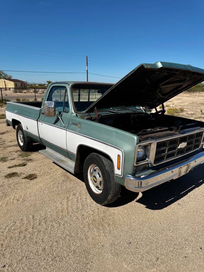 Chevrolet-c20-1978-9