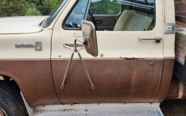 Chevrolet-c20-1978-brown-1
