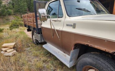 Chevrolet-c20-1978-brown-2