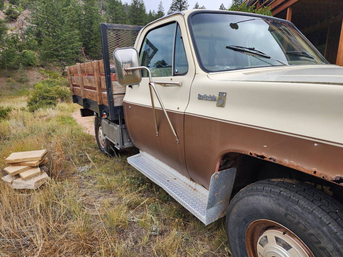 Chevrolet-c20-1978-brown-2