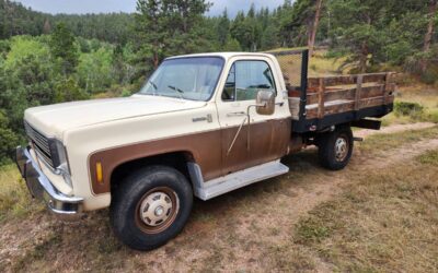 Chevrolet c20 1978