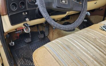 Chevrolet-c20-1978-brown-6