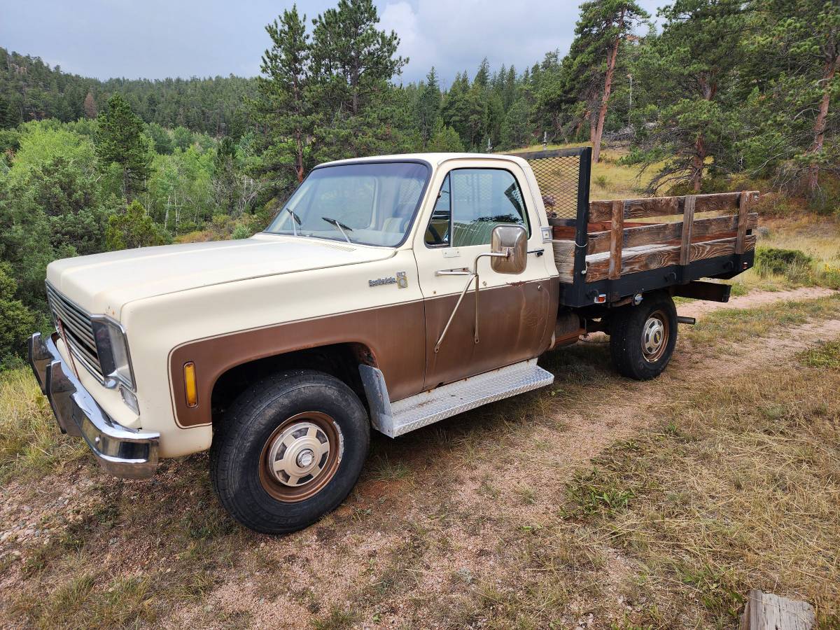 Chevrolet-c20-1978-brown