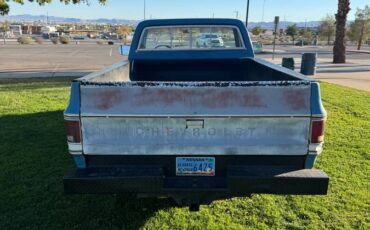Chevrolet-c20-1979-blue-3
