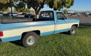 Chevrolet-c20-1979-blue