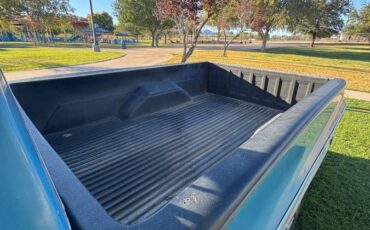 Chevrolet-c20-1979-blue-5