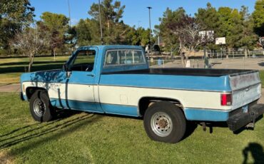 Chevrolet-c20-1979-blue-7
