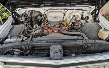 Chevrolet-c20-pickup-1970-12