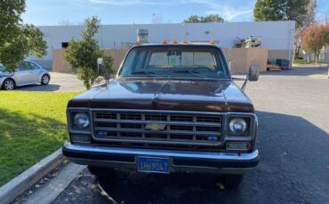 Chevrolet-c30-1978-brown-1