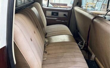 Chevrolet-c30-1978-brown-14