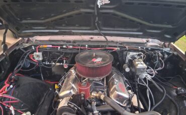 Chevrolet-c30-1983-brown-6