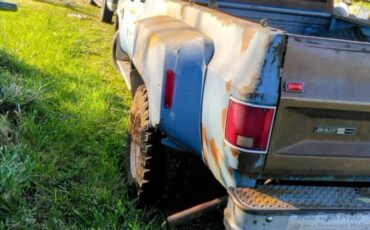 Chevrolet-c30-dually-1983-blue-7