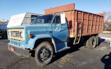 Chevrolet-c6000-1981-blue-2
