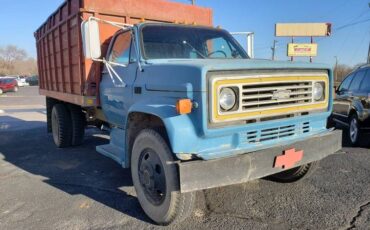 Chevrolet-c6000-1981-blue