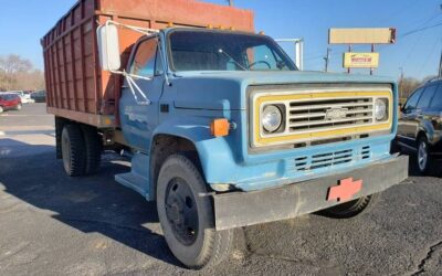 Chevrolet c6000 1981