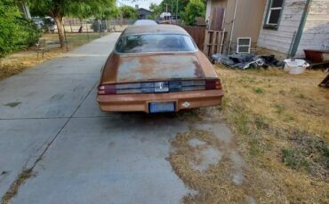 Chevrolet-camaro-1979-brown-1