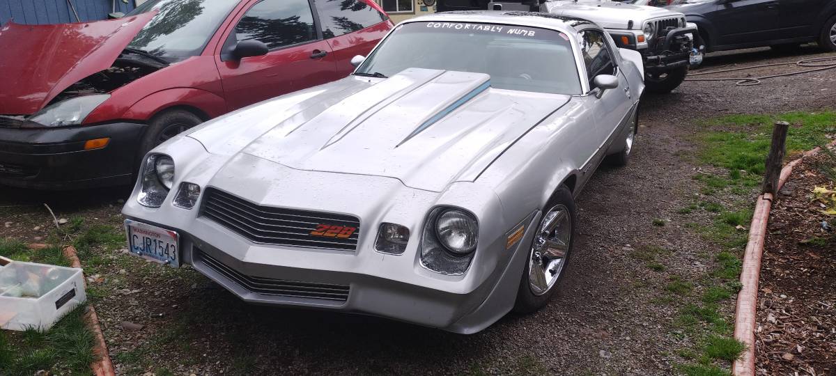 Chevrolet-camaro-coupe-1981-silver-5
