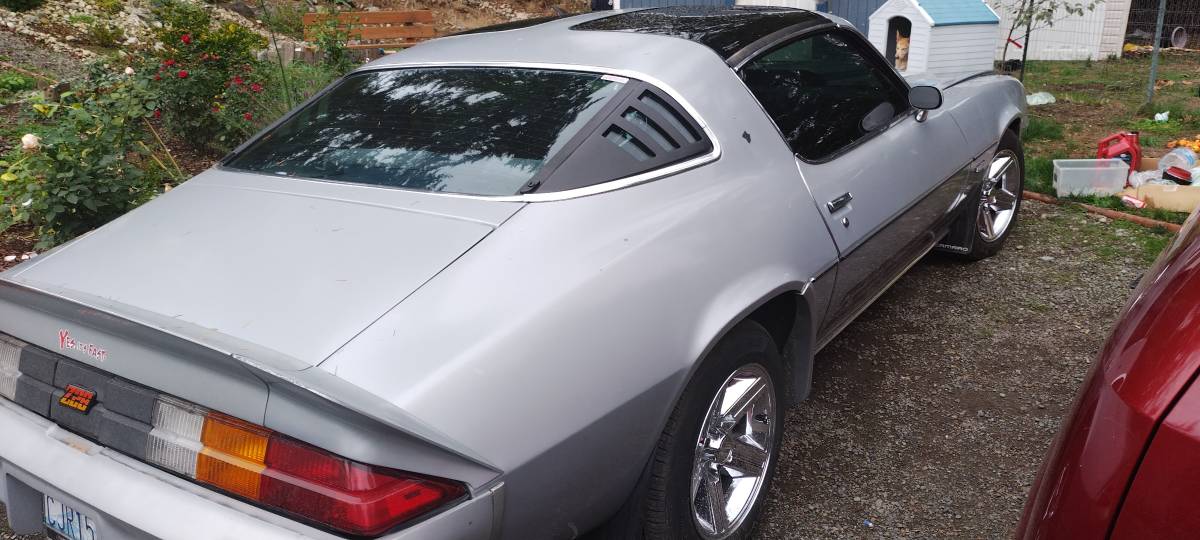 Chevrolet-camaro-coupe-1981-silver-6