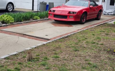 Chevrolet camaro rs convertible 1989