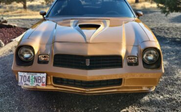 Chevrolet-camaro-z28-1979-brown-1