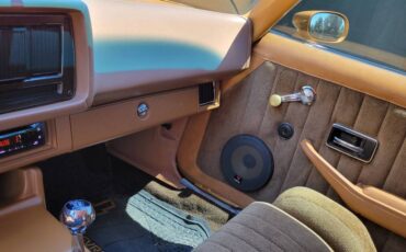 Chevrolet-camaro-z28-1979-brown-14